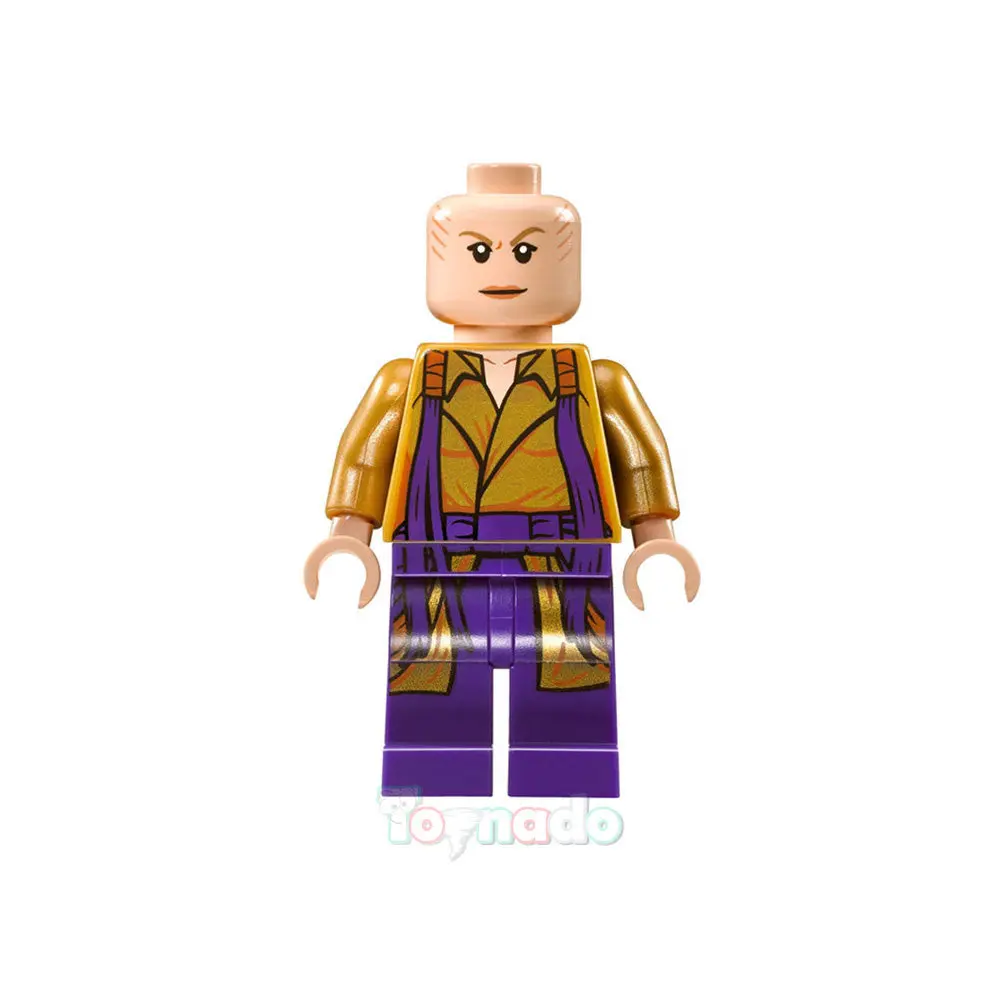 Marvel Cinematic Universe - Ancient One (Movie Version) Custom Minifigure 1