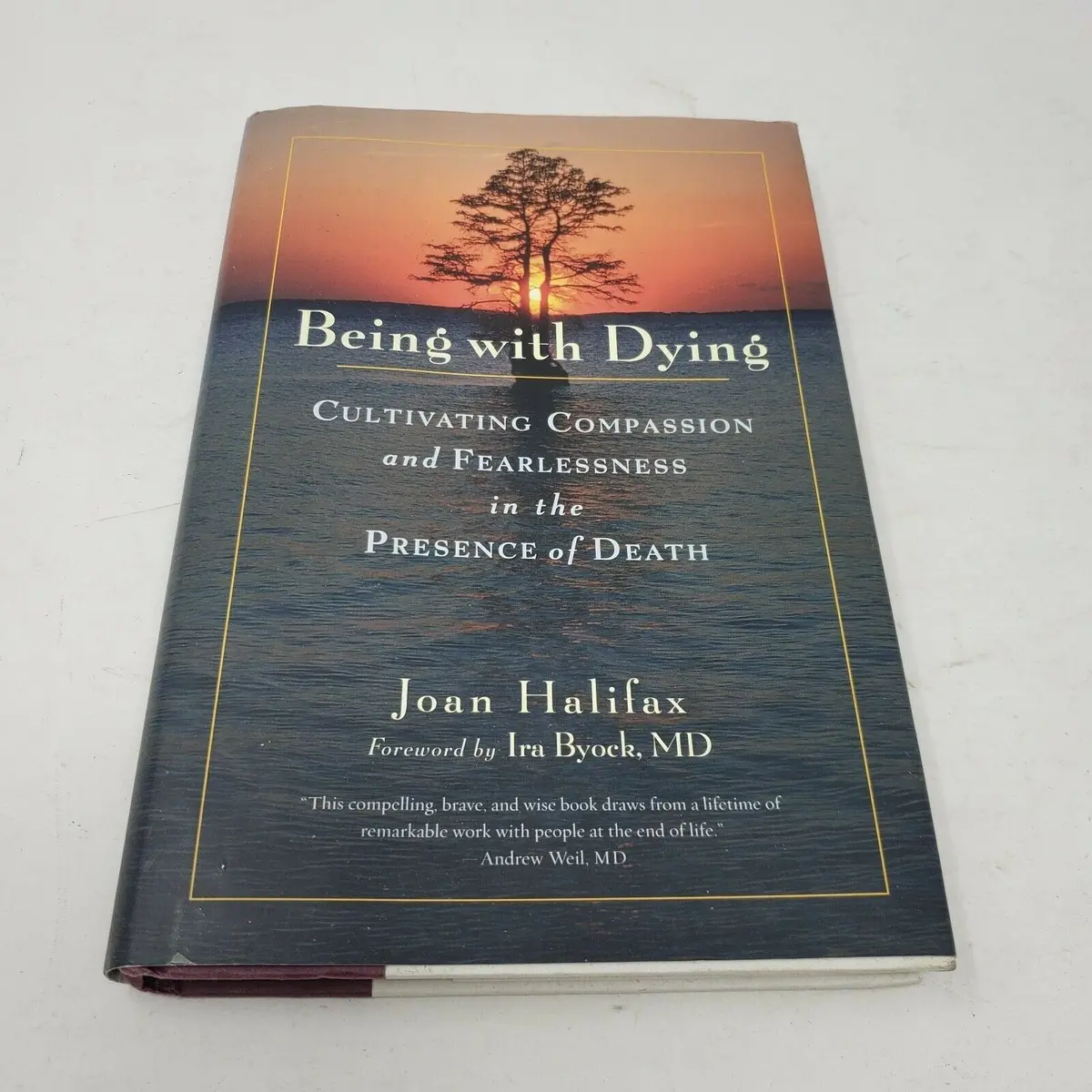 Being With Dying Cultivating Compassion & Fearlessness In The Presence Of Death 1