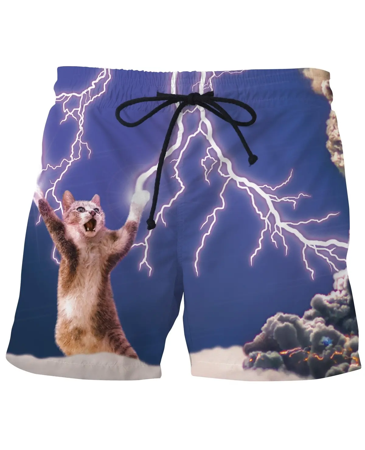 Men's Thundercat Quick-Dry Swim Shorts