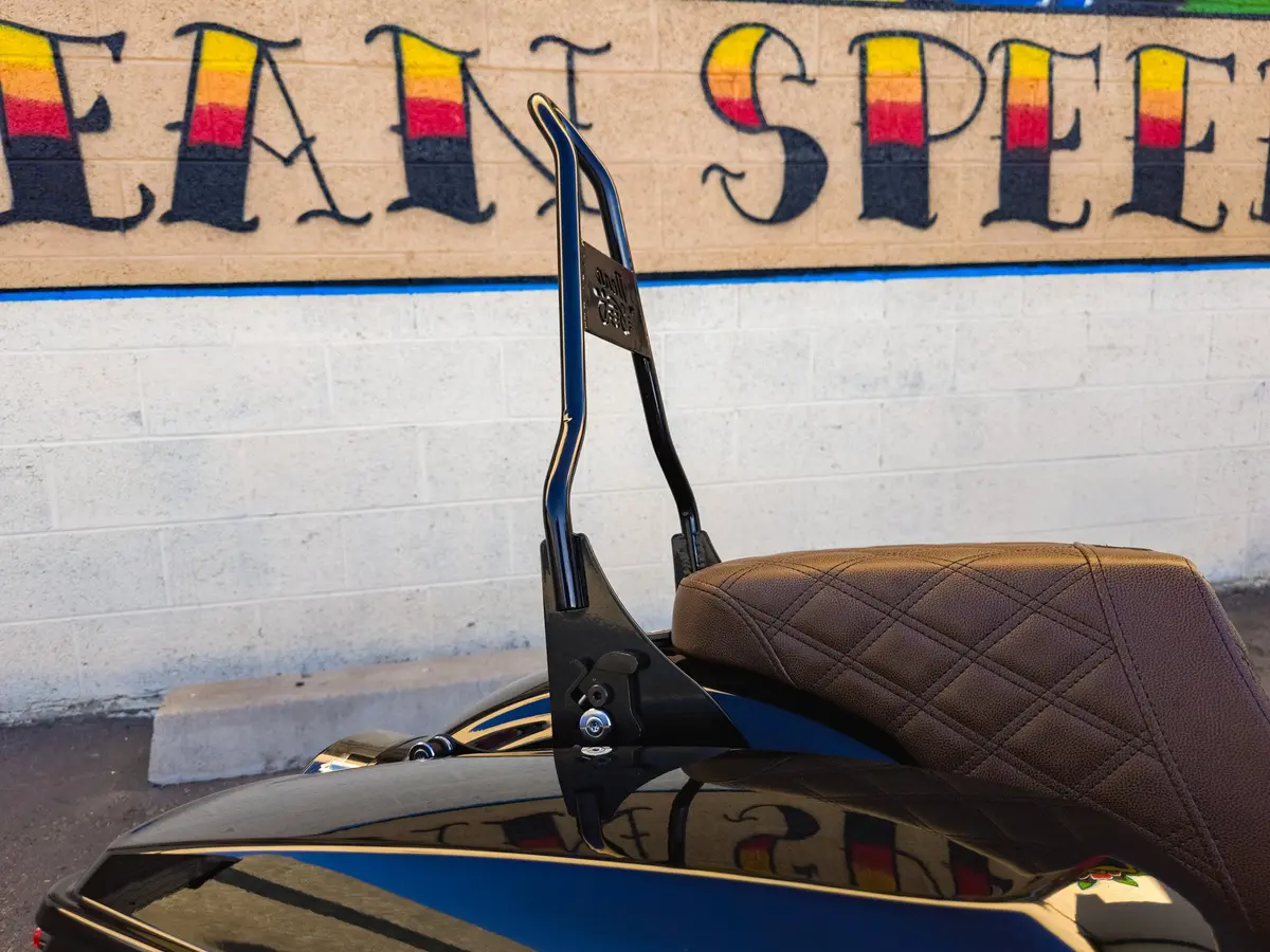 Harley Touring Quick Detach Sissybar 1