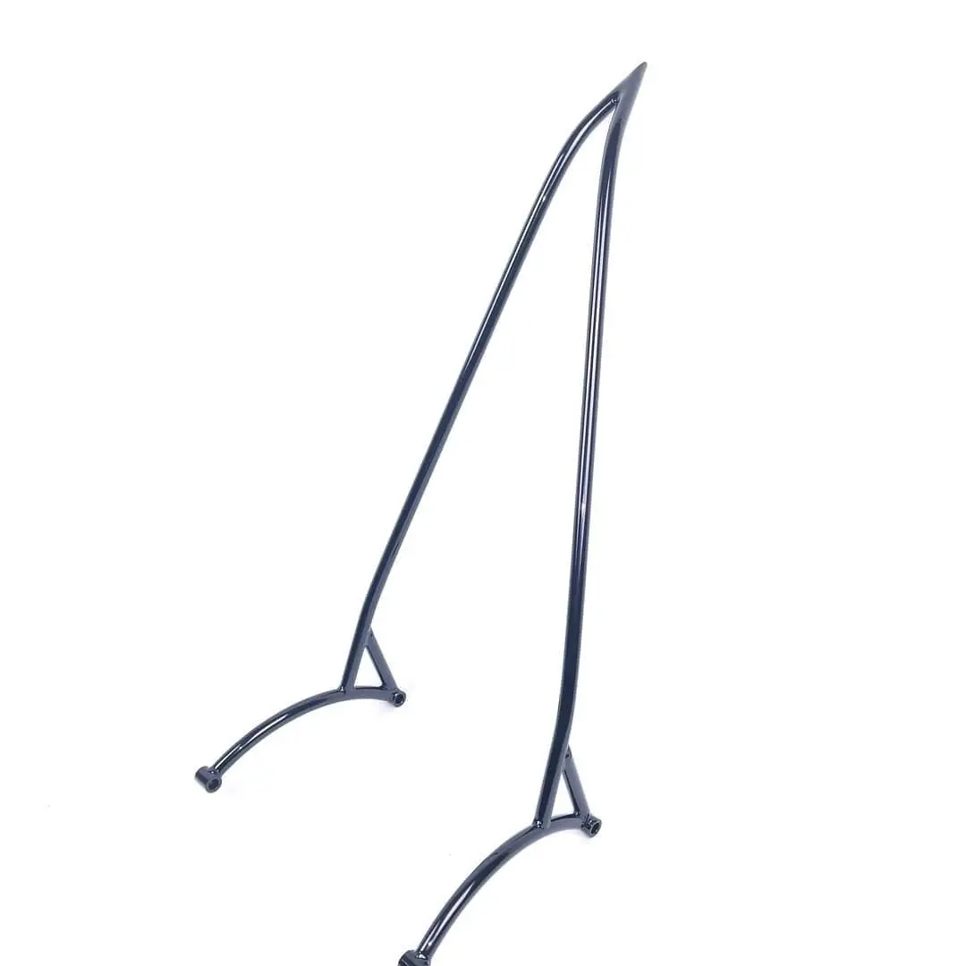 Octane Wicked Sissy Bar 1