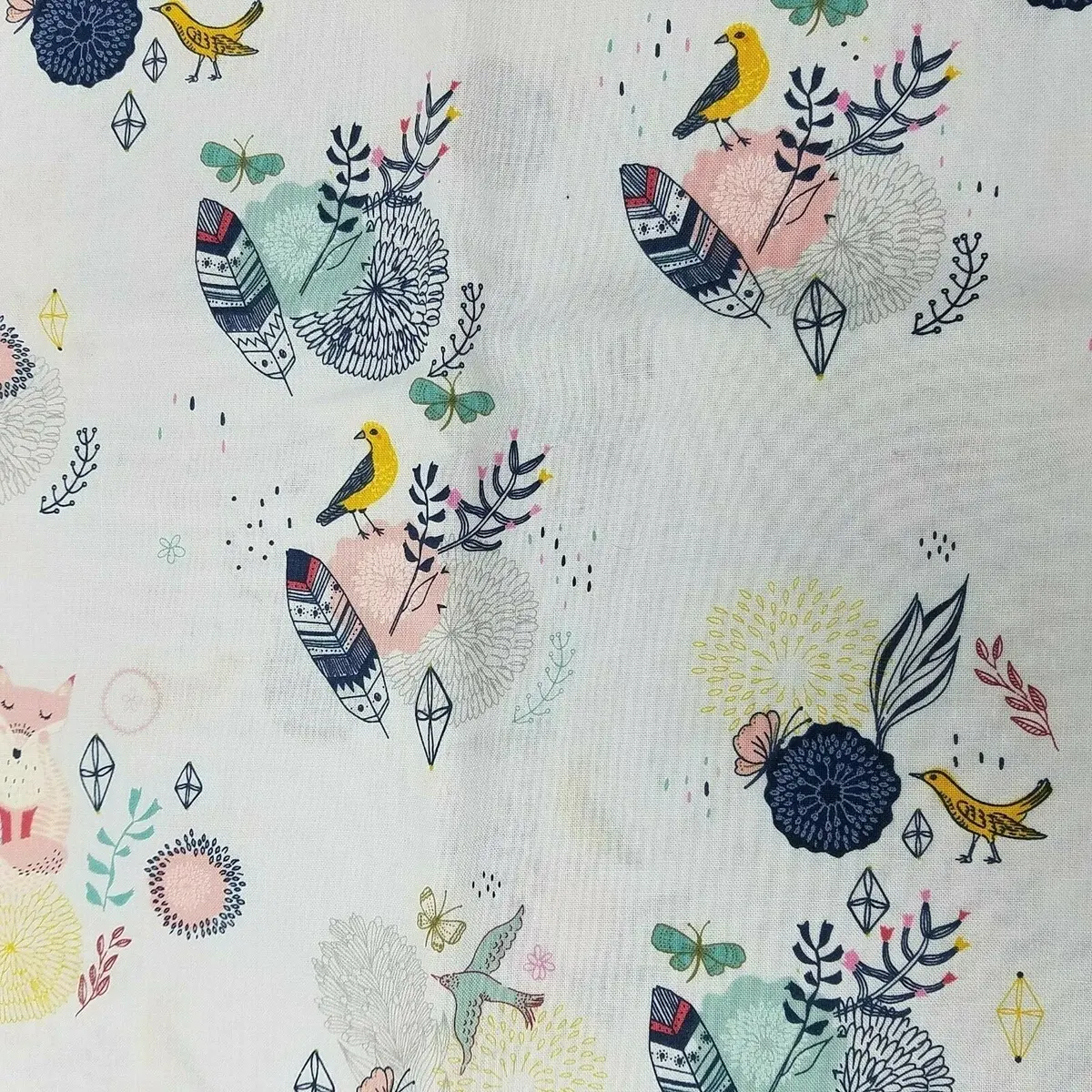 Feathers Birds Ferns Brother Sister Design Studio Fabric 1/2 Yard B80-Ea-Po1 1