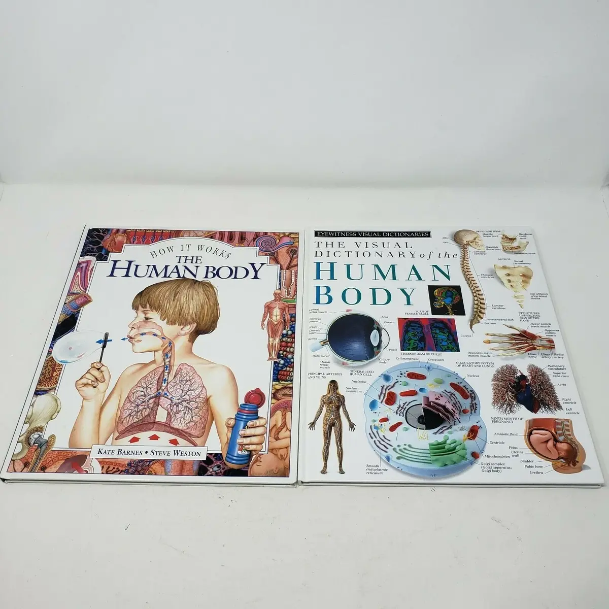 The Human Body How It Works Visual Dictionary Books Educational Encyclopedia Lot 1