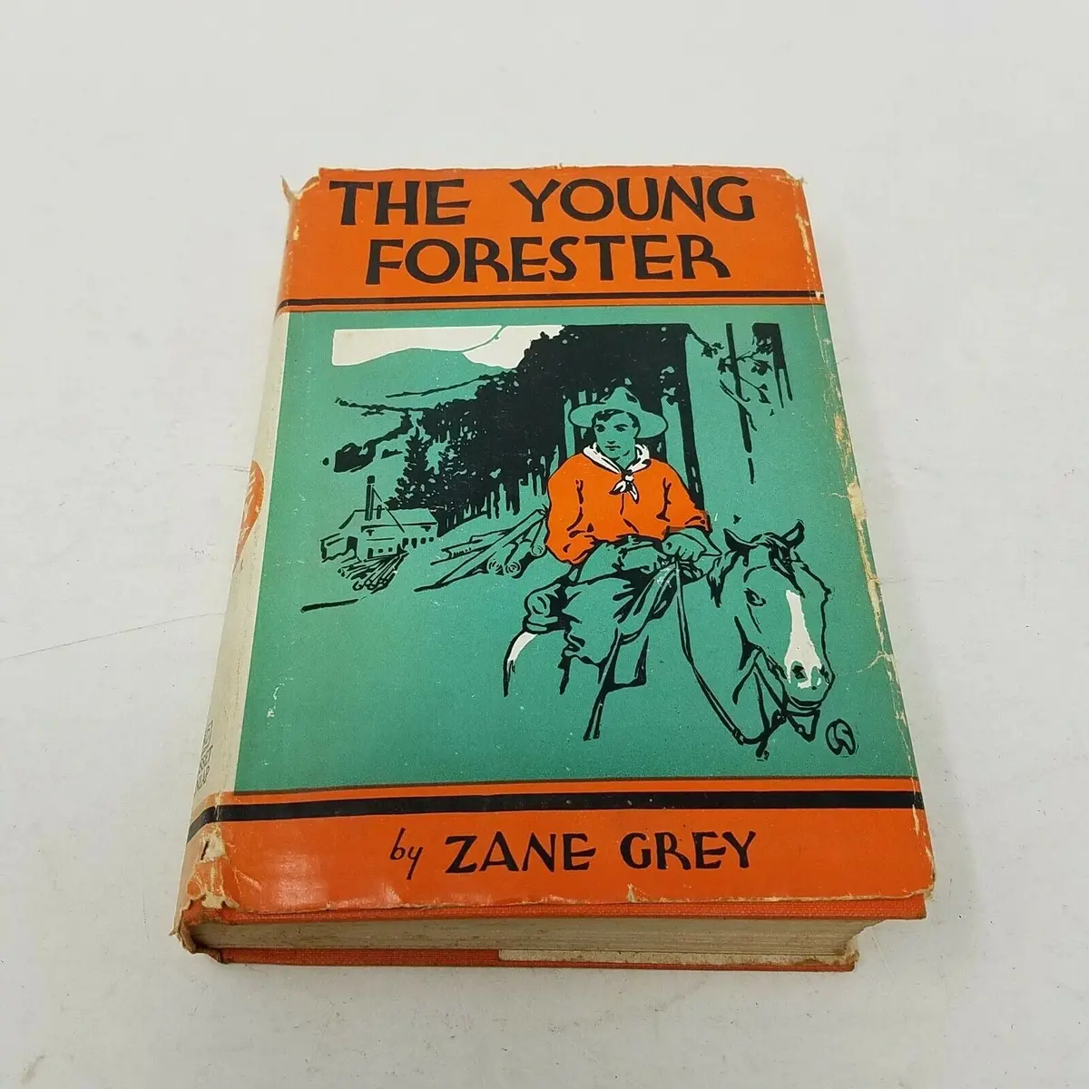 Zane Grey The Young Forester Book 1St Edition 1St Printing Hc Dj 1910 First 1