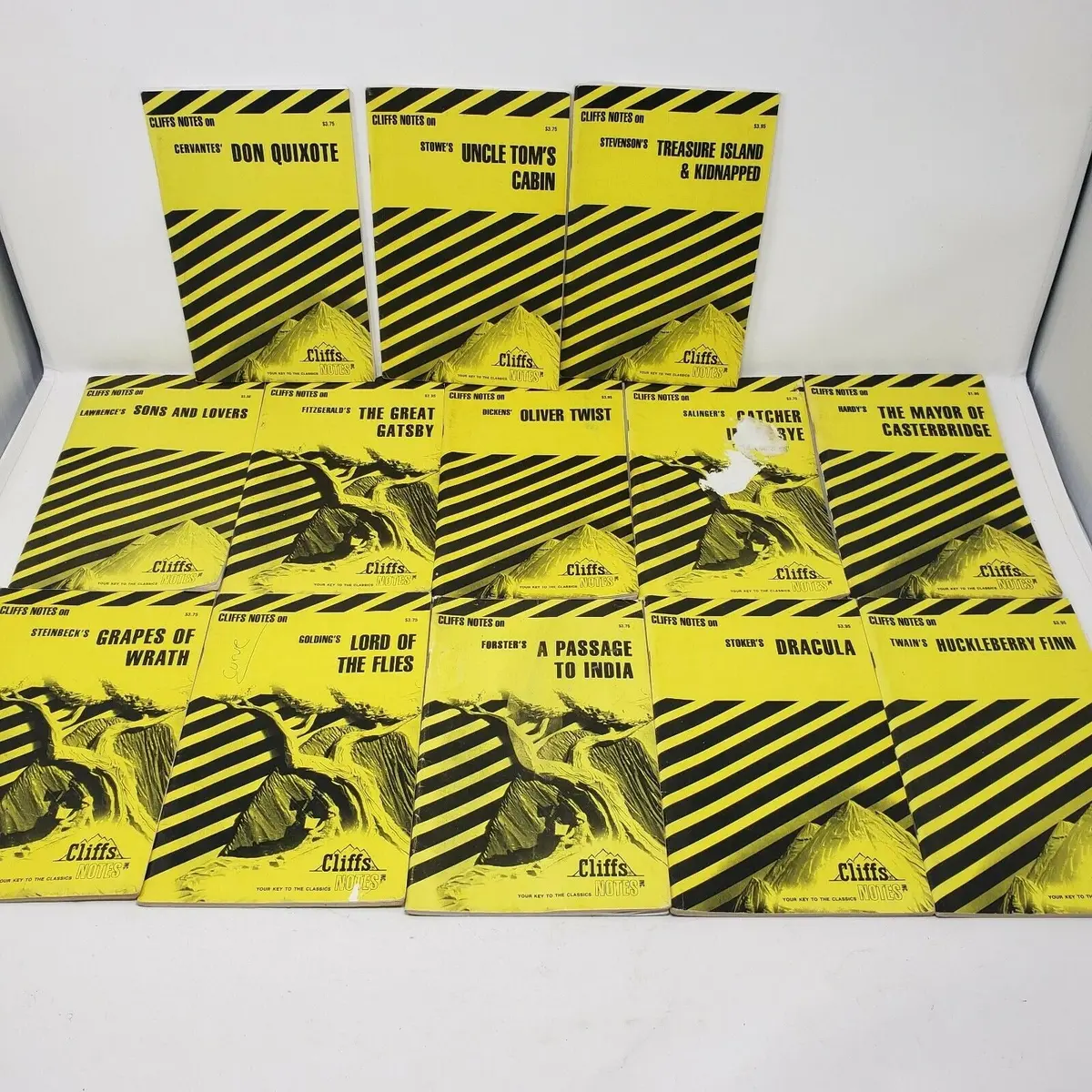 Vintage Lot Of 13 Cliffs Notes 1980S Fitzgerald Dickens Twain Stowe Cervante 1