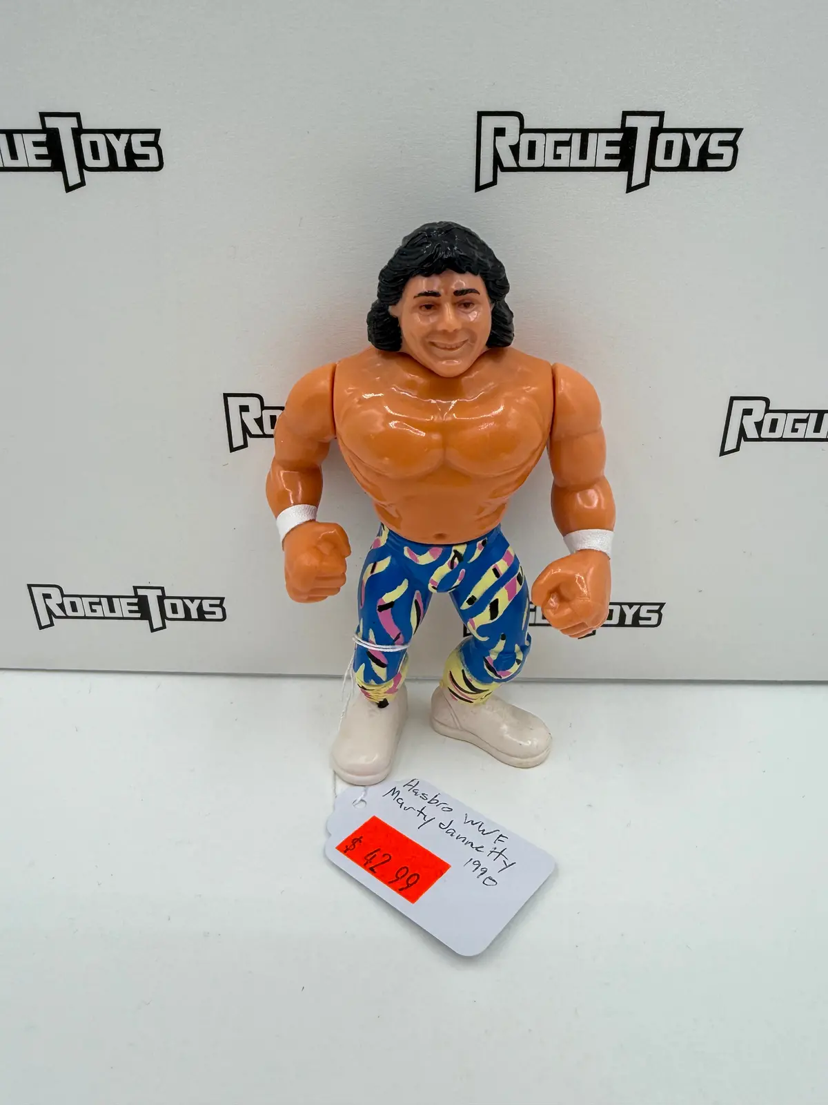 Hasbro Wwf Series 10 Marty Jannetty With Jannetty Jam! 1