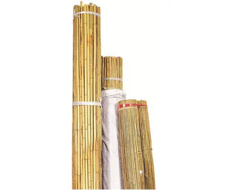 Natural Bamboo Stakes 1
