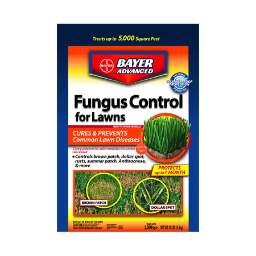 Fungus Control For Lawns 1