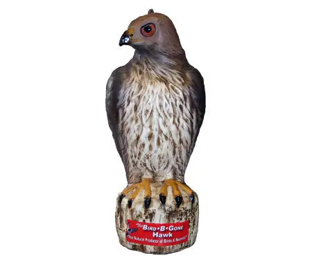 Bird B Gone Hawk Decoy 1