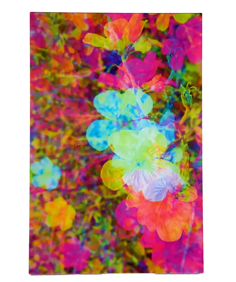 "Auspicious Escape #3" Acrylic Print | By Alex Clifford And Sadie Young 1