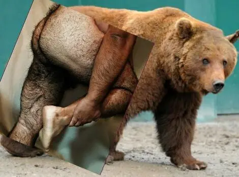Naro Pinosa Bear Butt Postcard 1