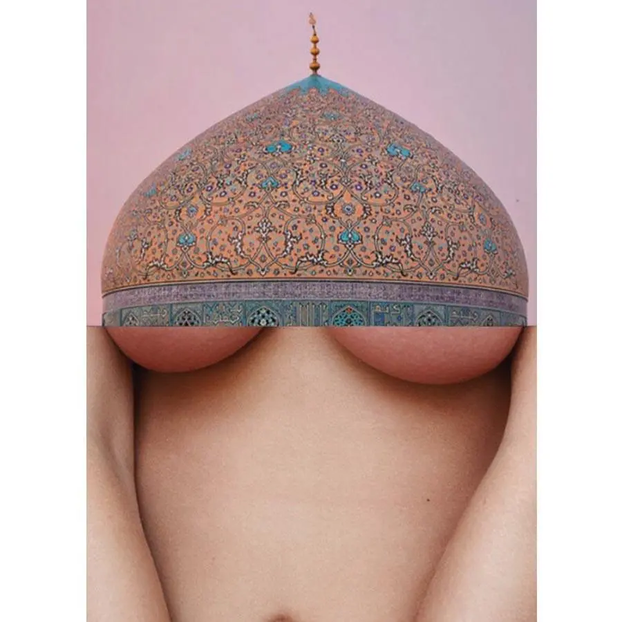 Naro Pinosa Dome Breast Postcard 1