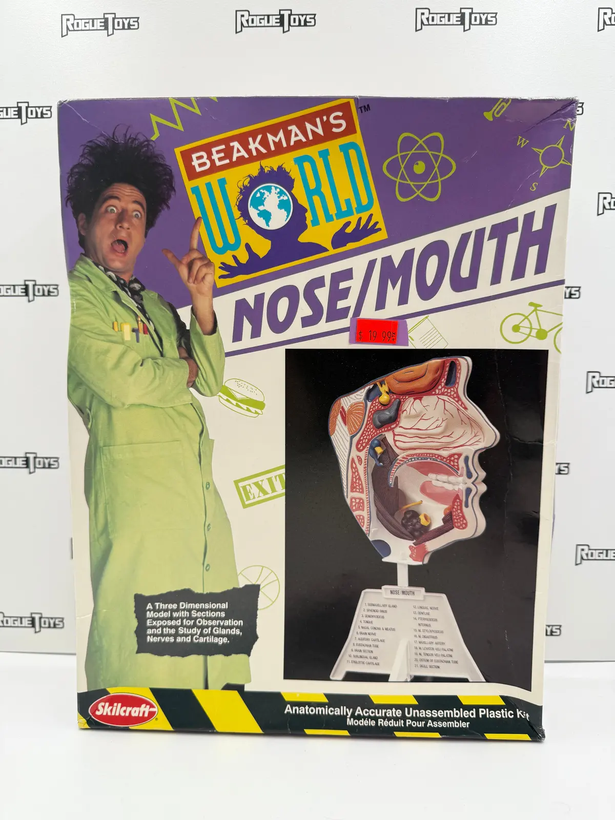 Skilcraft Beakman’S World Nose/Mouth Anatomically Accurate Unassembled Plastic Kit 1