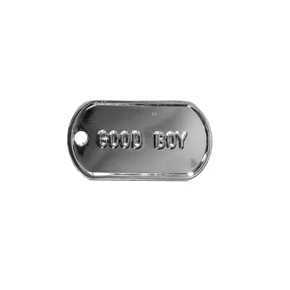 Good Boy Dog Tag Enamel Pin 1