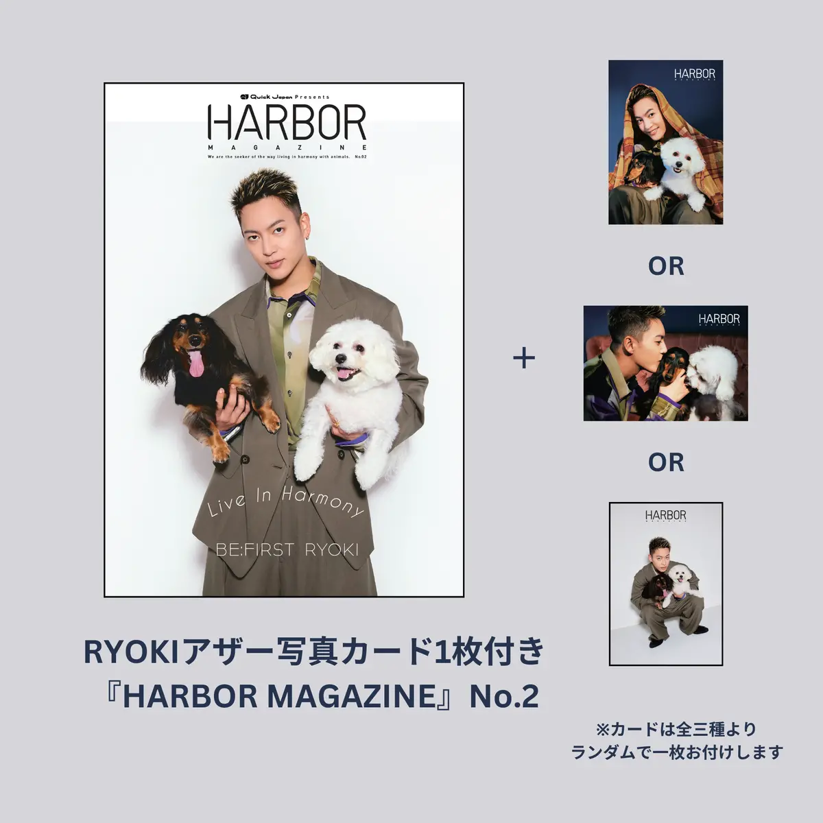 【Qjストア限定】Ryokiアザー写真カード1枚付き『Harbor Magazine』No.2 1