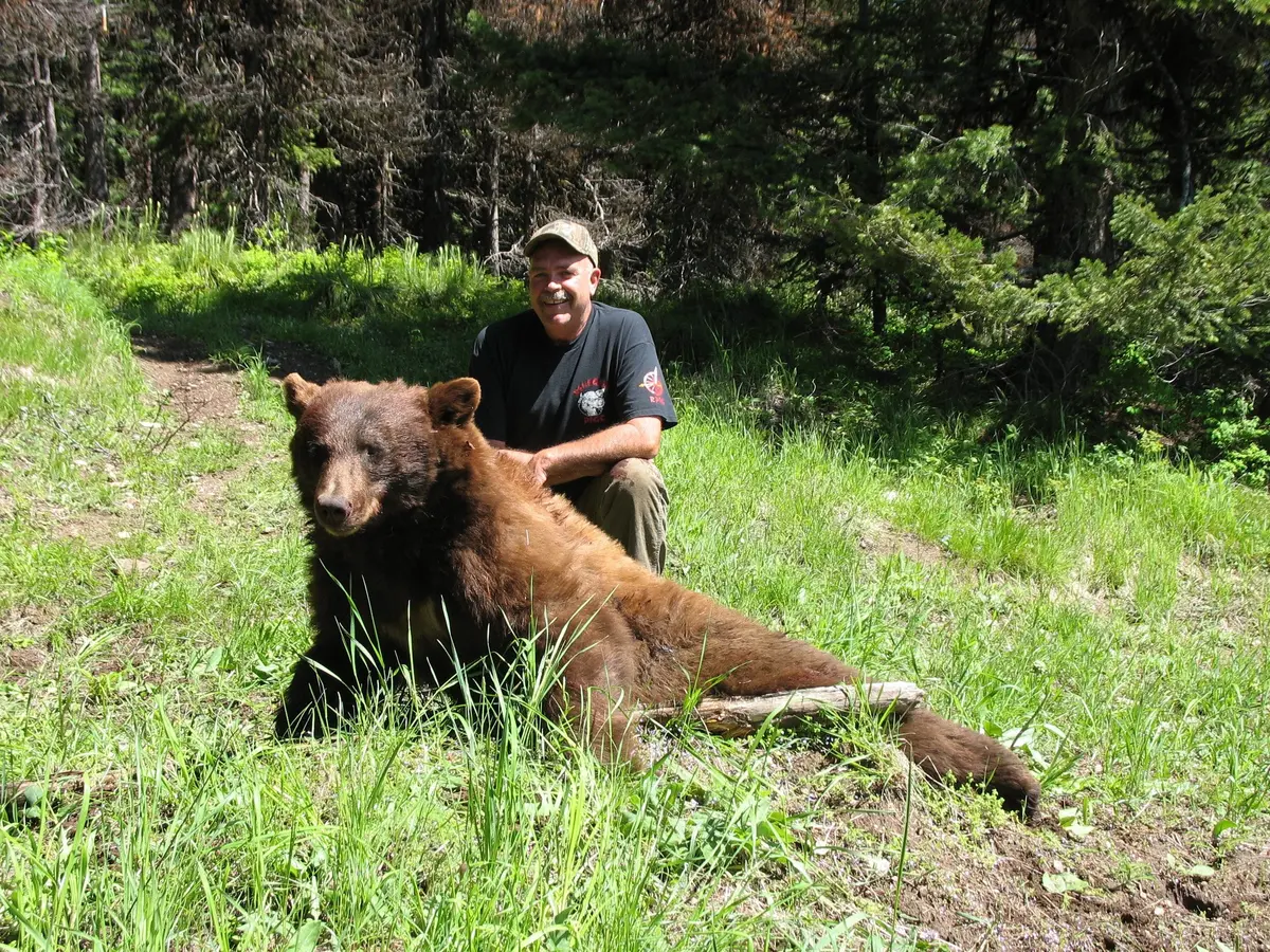 Silver Spur Outfitters - Spring Bear Hunt - Over Bait 1