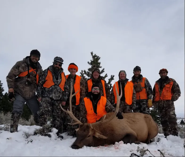 Lone Wolf Guide Services - Guided Elk Hunt (3.5Day) 1