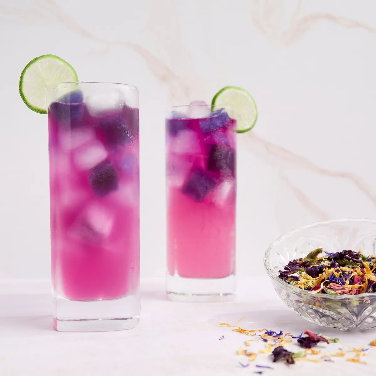 Mariposa Margarita 1