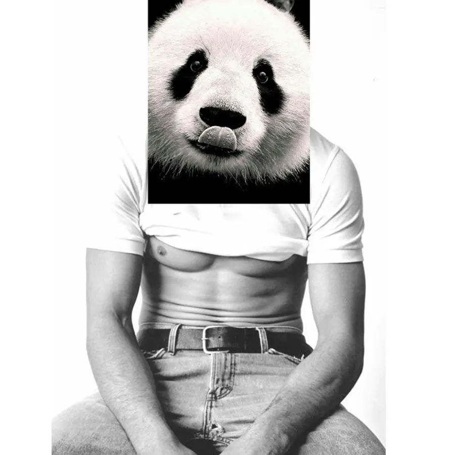 Naro Pinosa Panda Man Postcard 1