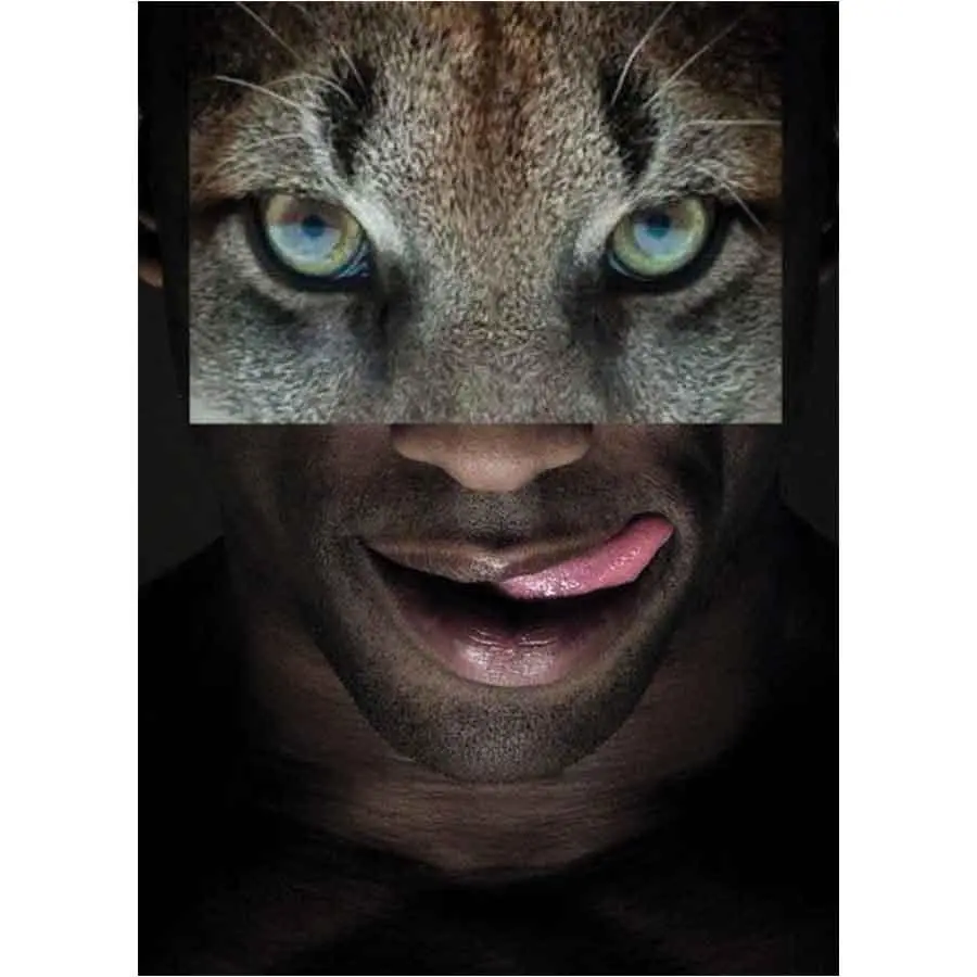 Naro Pinosa Jaquar Licking Lips Postcard 1
