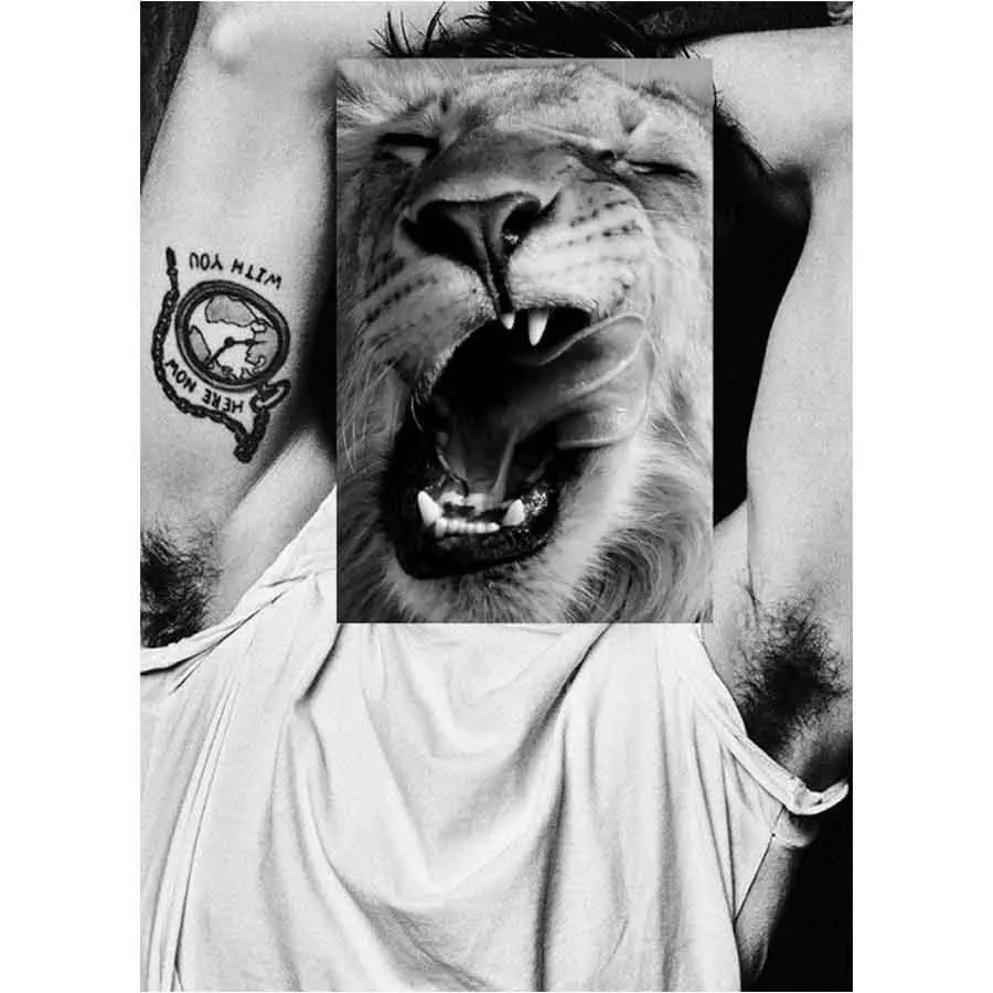 Naro Pinosa Lion Yawn Armpit Postcard 1