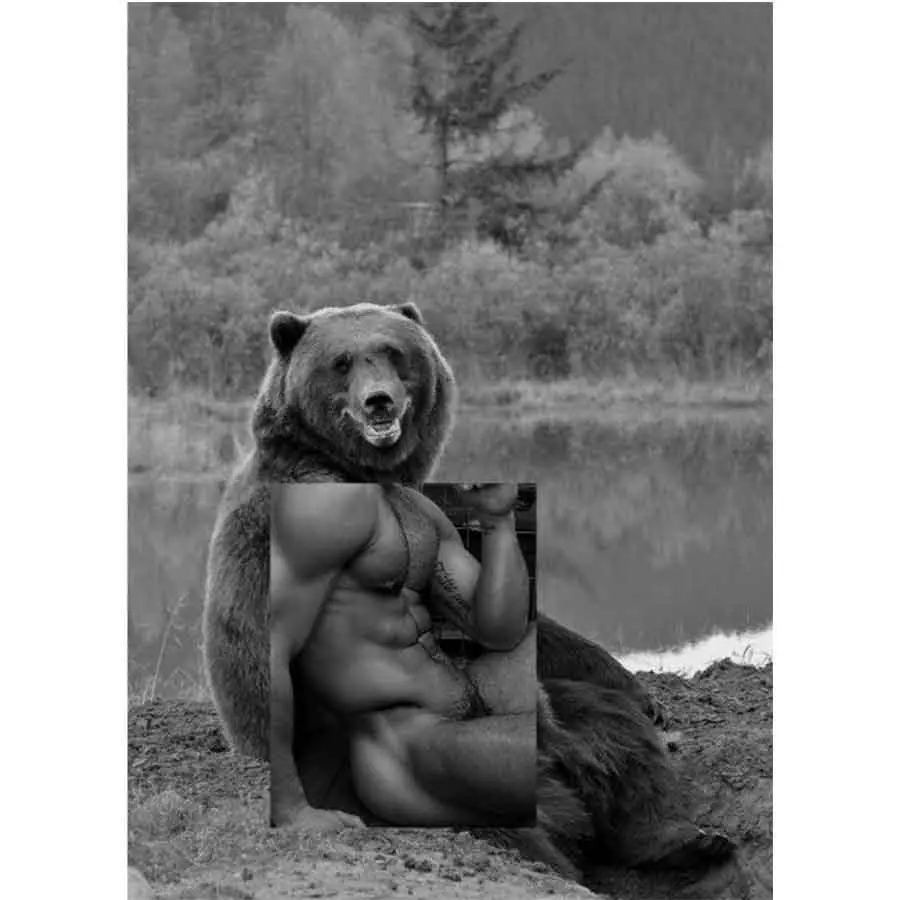 Naro Pinosa Seated Grizzly Bear Postcard 1