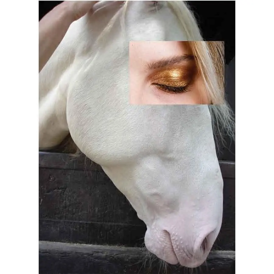 Naro Pinosa White Horse Eyeshadow Postcard 1