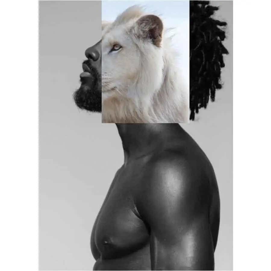 Naro Pinosa Albino Lion Black Man Postcard 1
