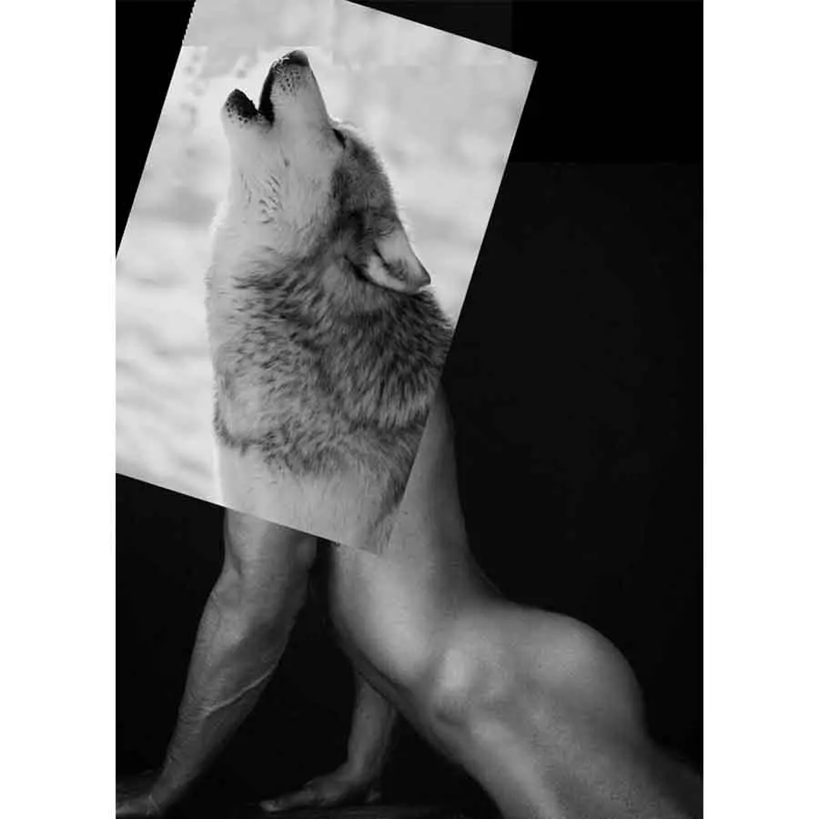 Naro Pinosa Wolf Howling Postcard 1