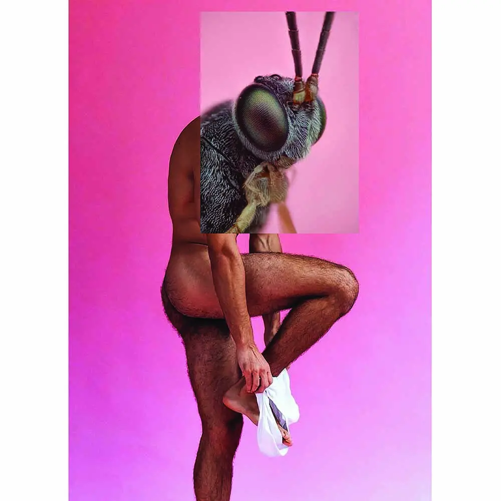 Naro Pinosa Insect Head Tighty Whities Postcard 1