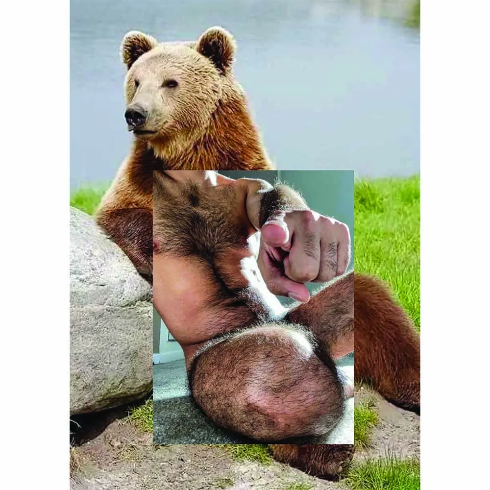 Naro Pinosa Pointing Bear Postcard 1