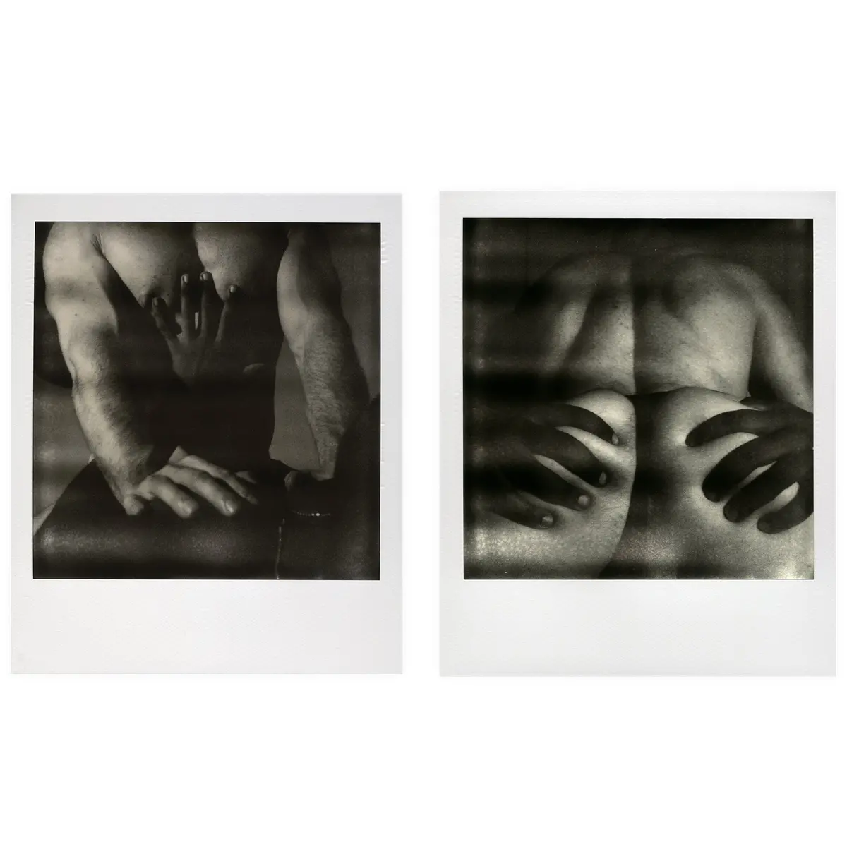 Push Me / Pull Me Diptych 1