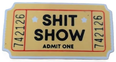 Novelty Admission Ticket & Fridge Magnet - Shit Show Admit One - Funny Plastic Prop (5.3 X 2.8-Inch) 1