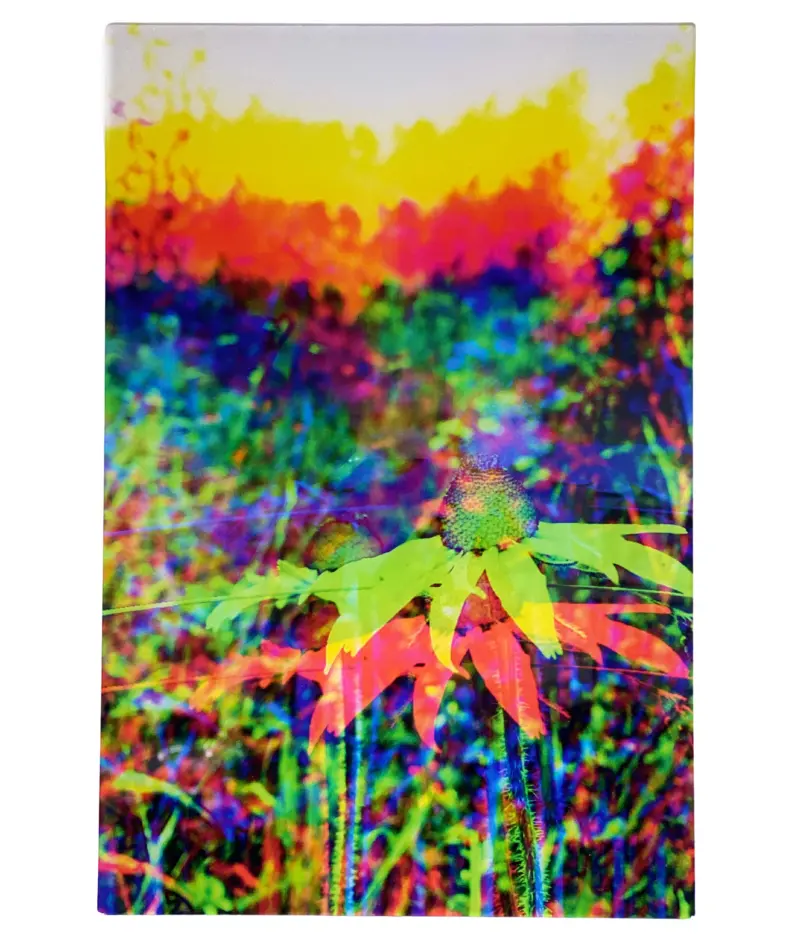 "Auspicious Escape #1" Acrylic Print | By Alex Clifford And Sadie Young 1