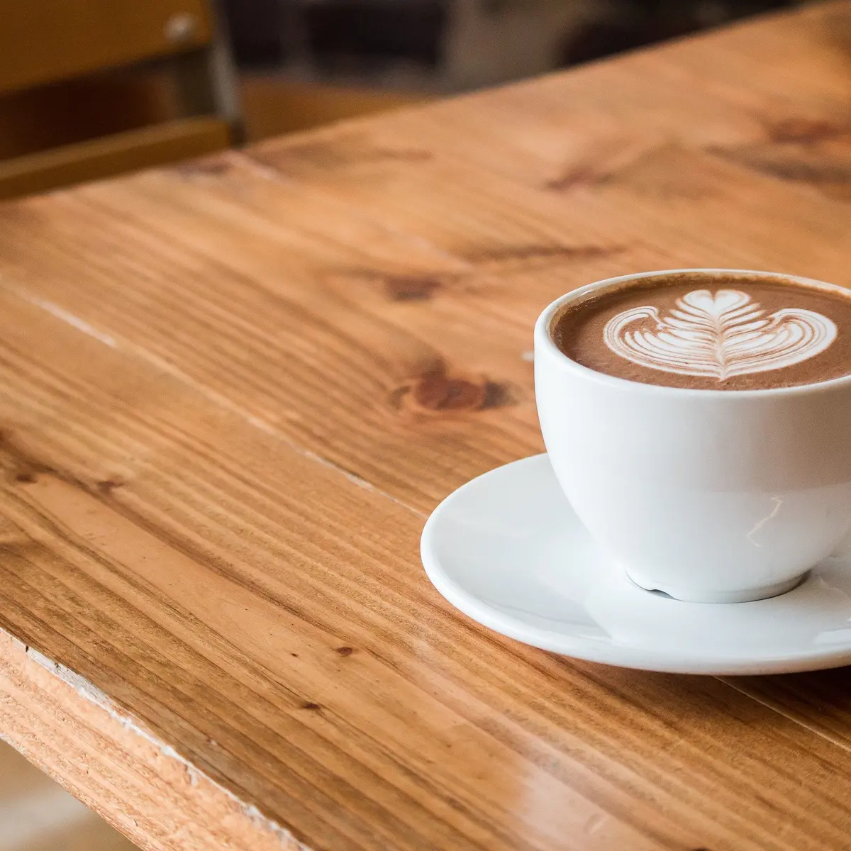 Turtle Bar Mocha 1