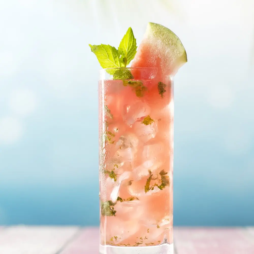 Watermelon Mojito 1
