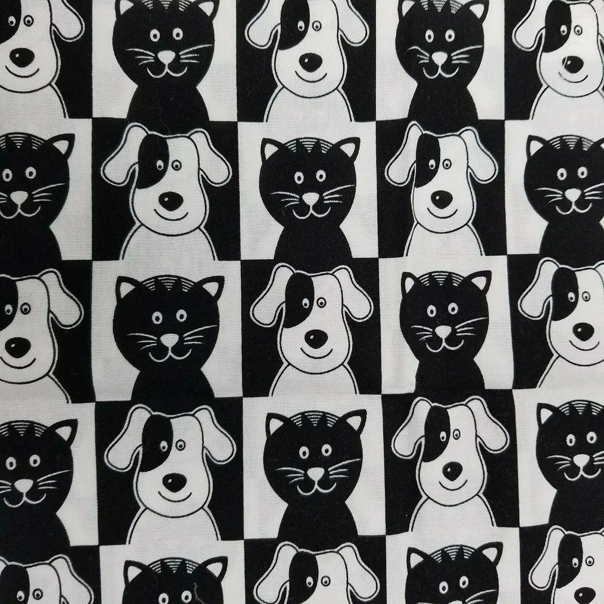 Cats & Dogs Brother Sister Design Studio Fabric 1/2 Yard B18-Sp.P03 2007 Black 1