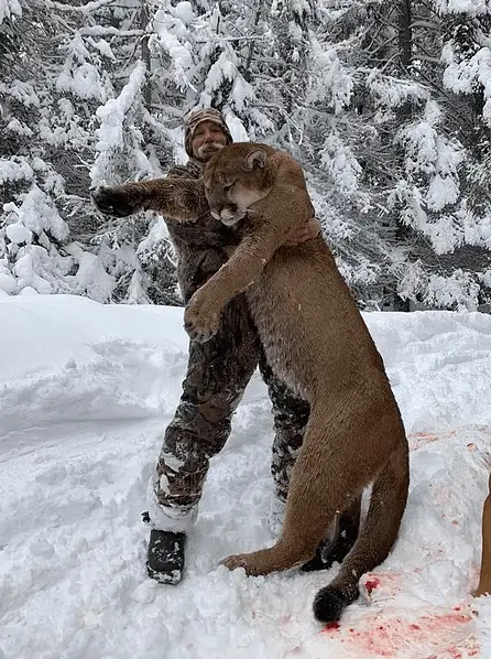 Waypoint Outfitters - Guided Mountain Lion Hunt 1