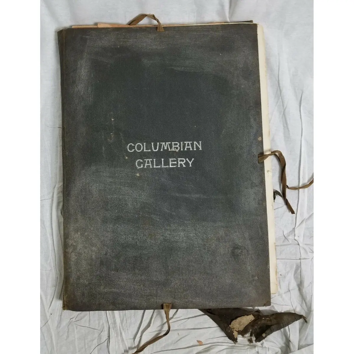 Columbian Gallery Collection Photographs Antique Book Haskell Publishing 1893 1