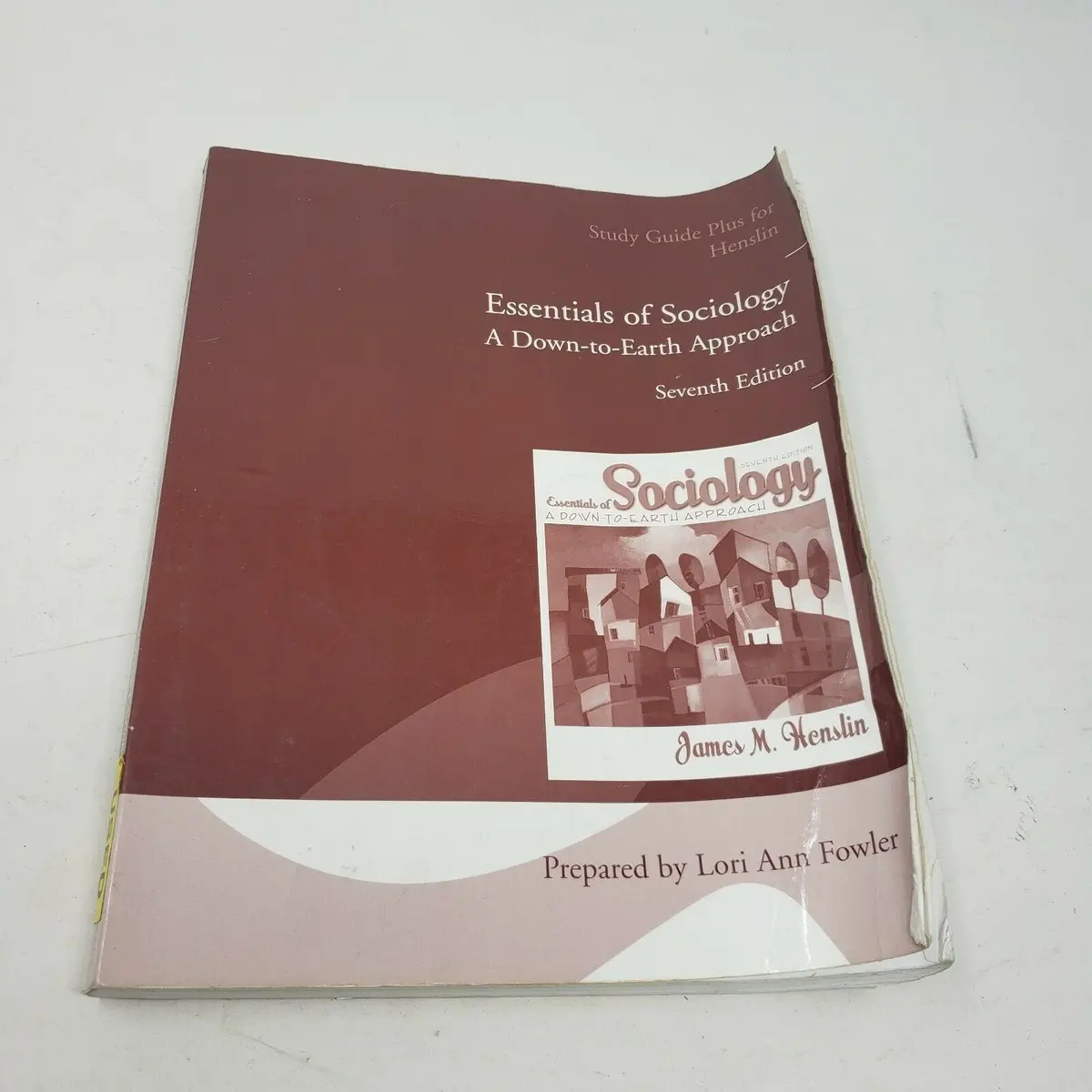 Essentials Of Sociology A Down To Earth Approach 7Th Edition James Henslin Book 1