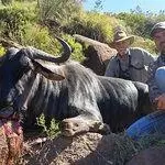 Tootabi Hunting Safaris - 10 Days  - 10 Trophy Animals 1