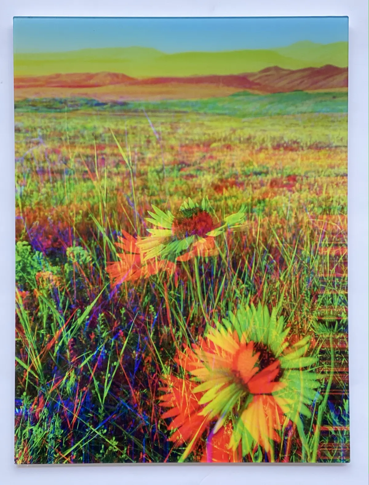 "Good Morning" Acrylic Print | By Alex Clifford And Sadie Young 1