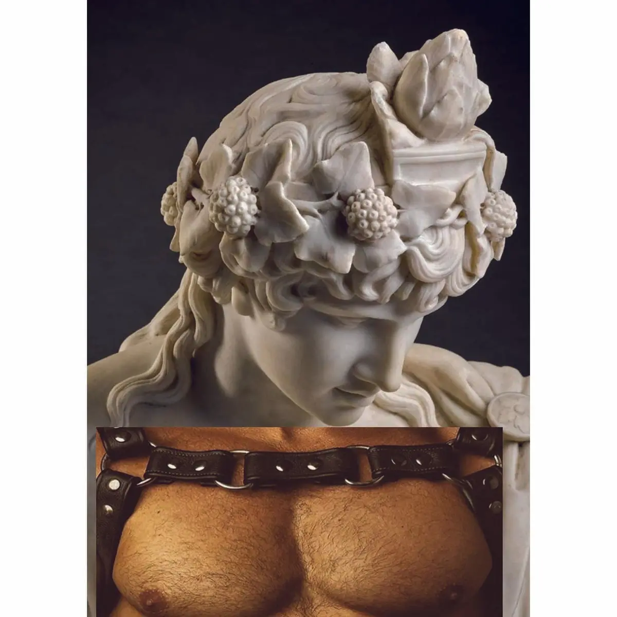 Naro Pinosa Leather Harness Statue Head Postcard 1