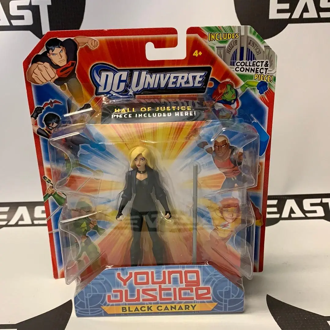 Mattel Young Justice Black Canary 1