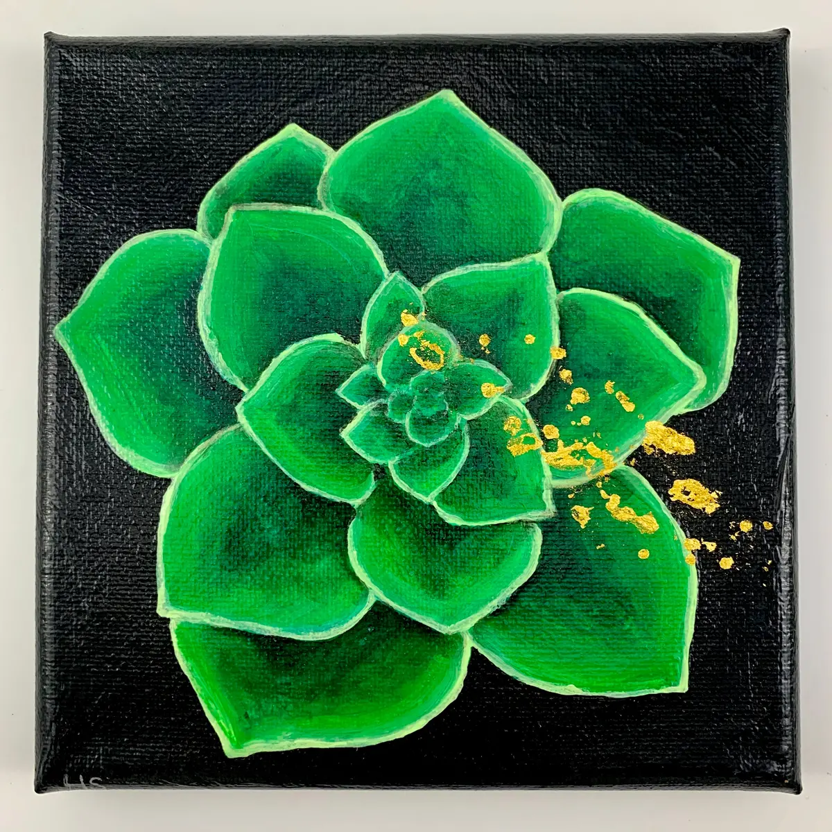"Lily Pad" |  By: Hollie Suisse 1