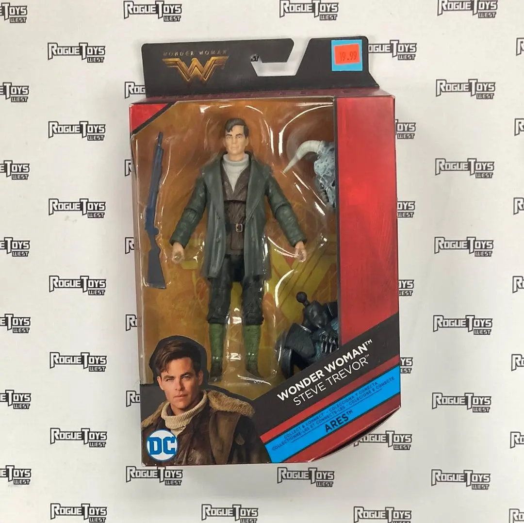 Dc Comics Multiverse Wonder Woman Steve Trevor 1