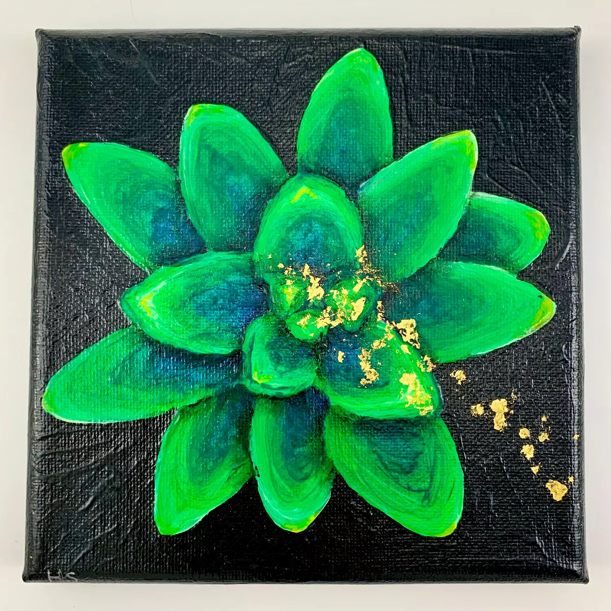 "Little Jewel" |  By: Hollie Suisse 1