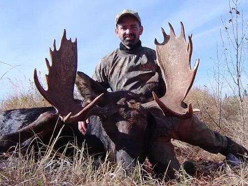 South Peace Outfitters - Guided Rut Moose Hunt 1