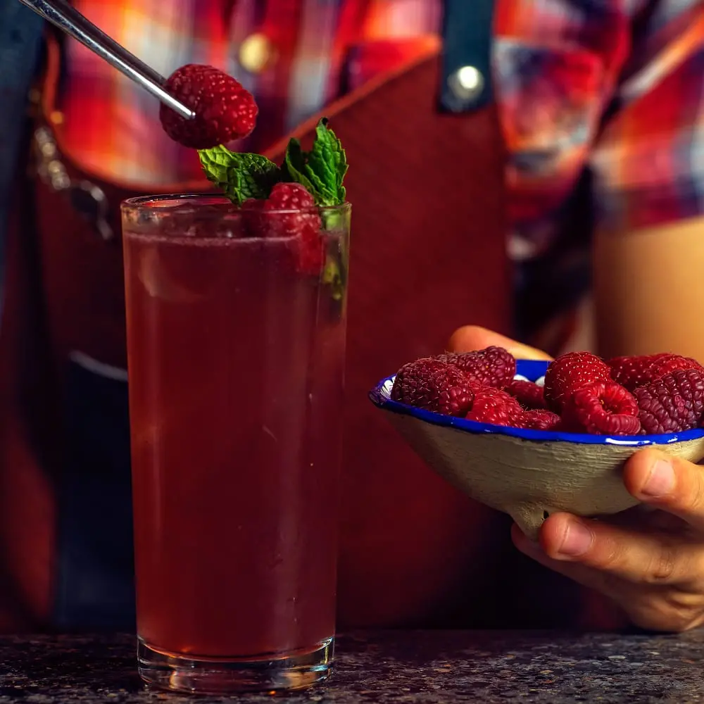 Raspberry Soda Stream 1