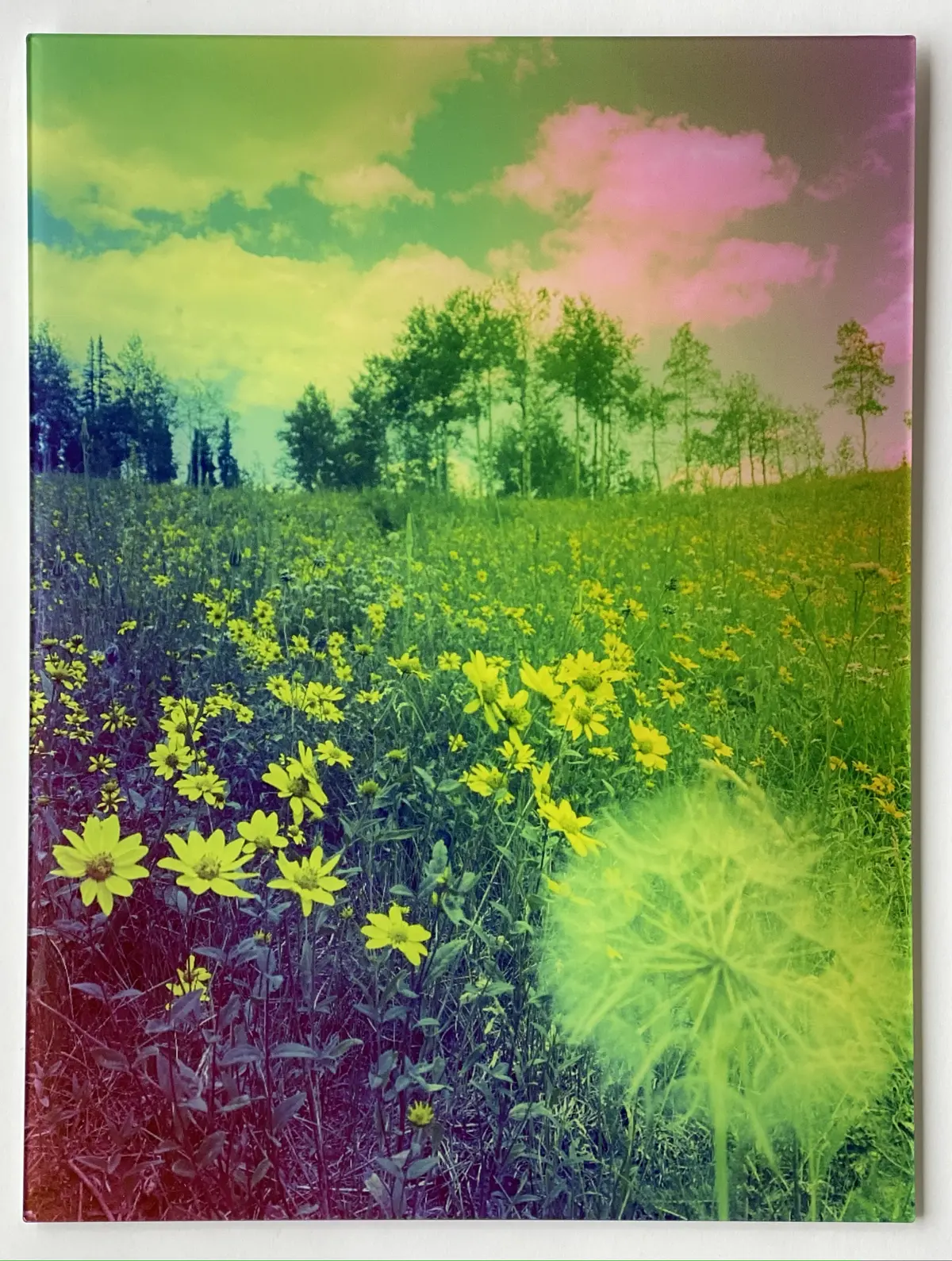 "Make A Wish" Acrylic Print | By Alex Clifford And Sadie Young 1